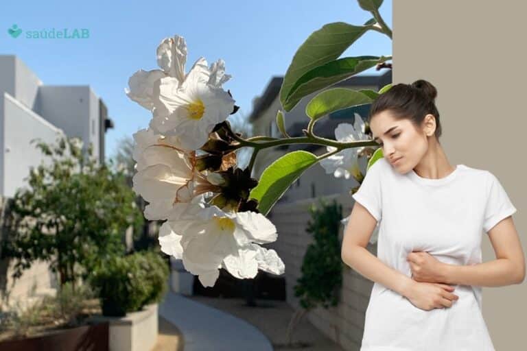 erva baleeira para o intestino.