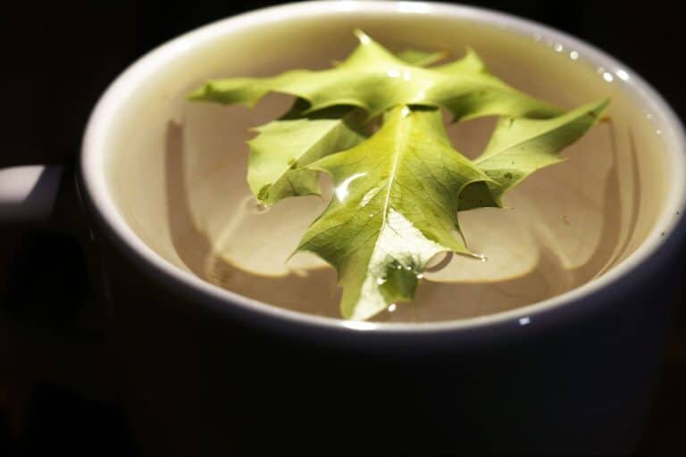 espinheira-santa mexe com a pressão arterial.