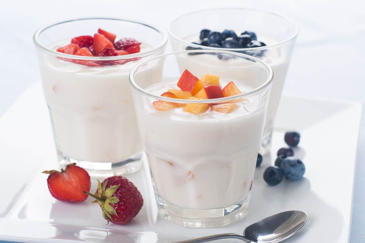 melhor iogurte para dieta.