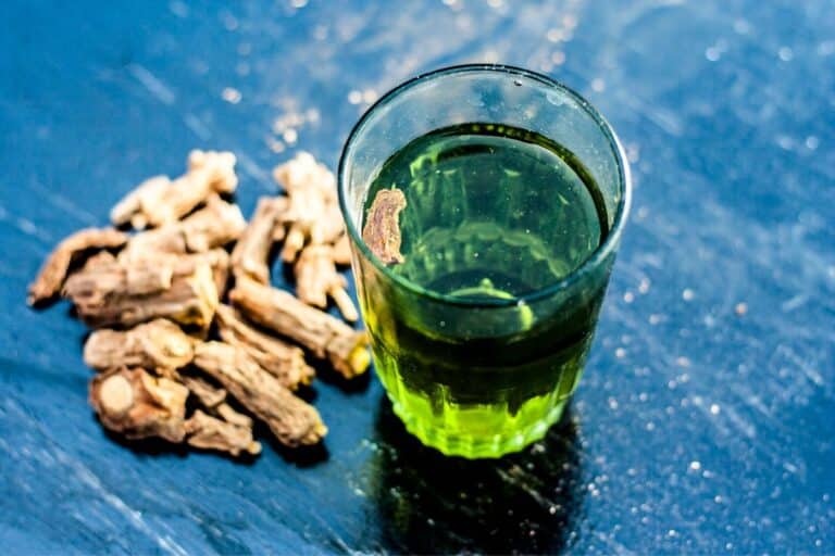 Salsaparrilha: para que serve, benefícios, contraindicações e como usar 1 Smilax officinalis.