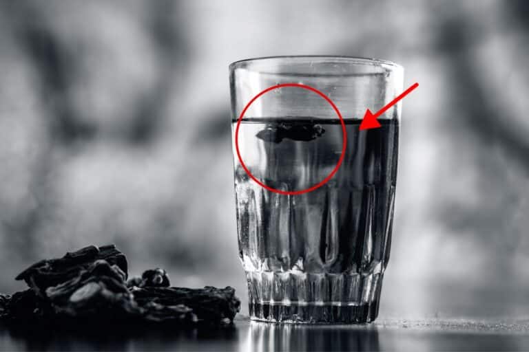 salsaparrilha limpa o sangue.