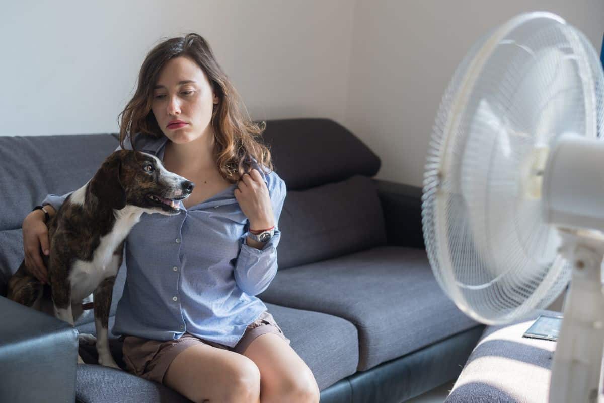 Ventilador faz mal para o pulmão? Entenda os efeitos do uso prolongado 1 Ventilador faz mal para o pulmão.