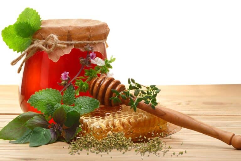 Xarope de orégano e mel.