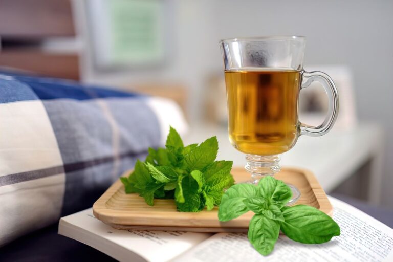 Chá de manjericão e hortelã.