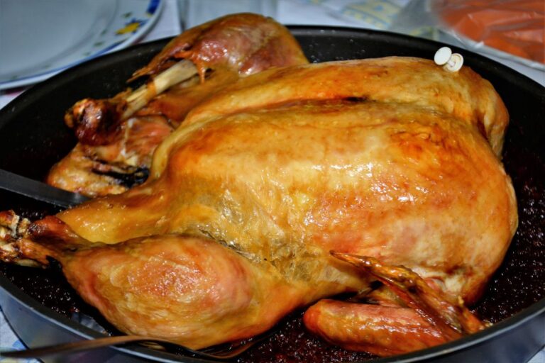 Você já viu um Chester? Saiba qual a origem dele e mais curiosidades 5 Chester.