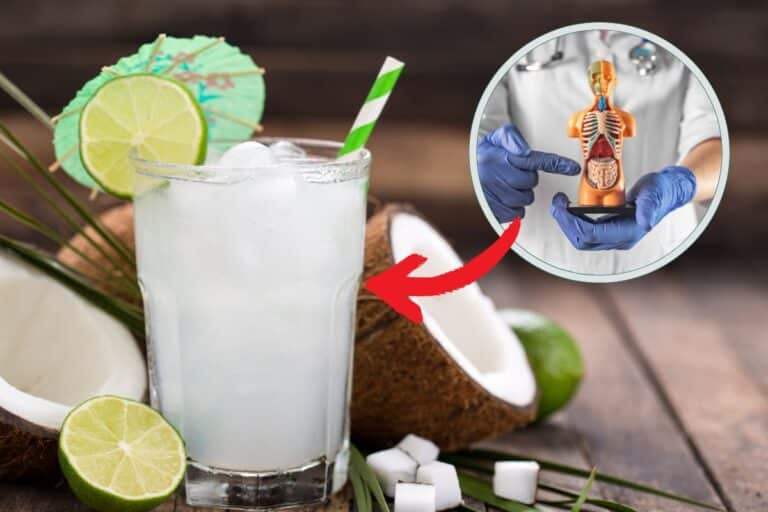 Água de coco prende ou solta o intestino? Descubra agora 5 água de coco prende ou solta o intestino.