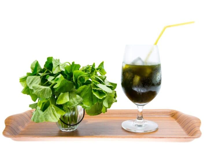 Centella asiática: quanto tempo para fazer efeito? Entenda 2 centella asiática quanto tempo para fazer efeito.