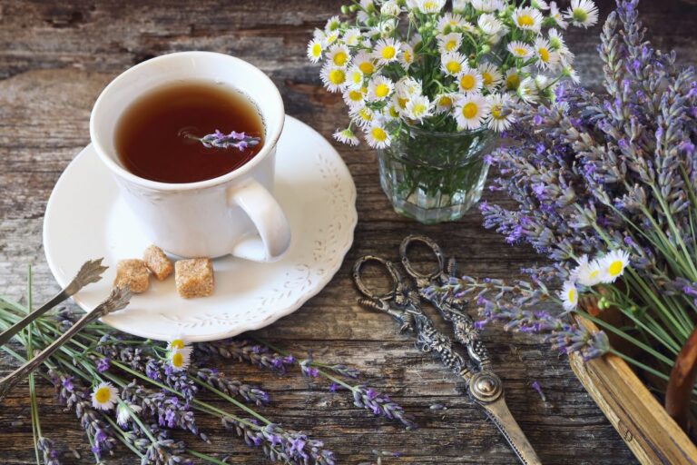 Chá de alfazema com camomila acalma e faz bem; conheça os benefícios 6 chá de alfazema com camomila.