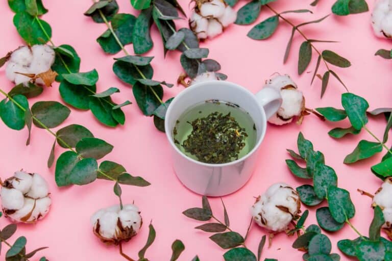 chá de folha de algodão é cicatrizante.