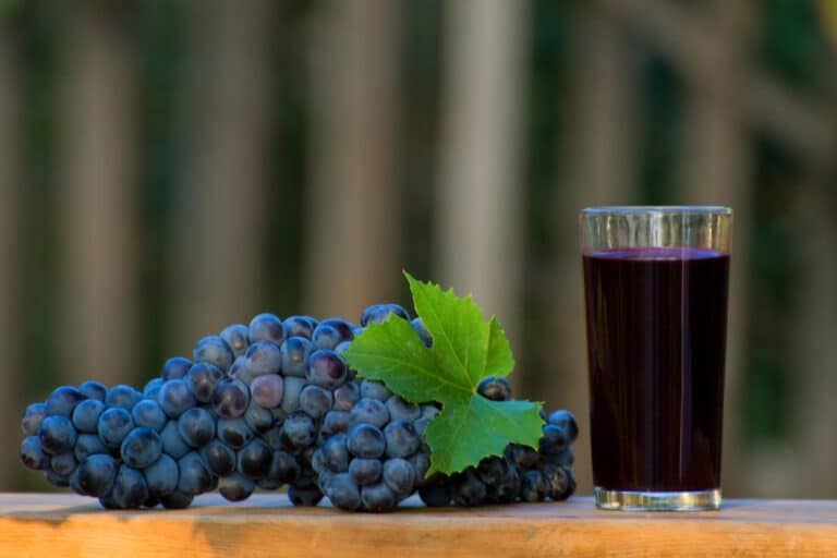 Suco de uva integral antes de dormir é uma boa ideia? Entenda 2 Suco de uva integral antes de dormir.