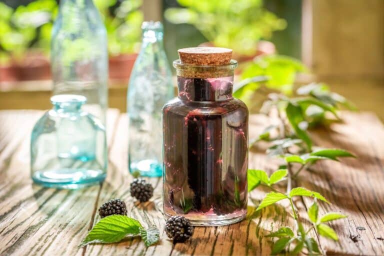 Tintura de amora: saiba para que serve e como usar corretamente 4 Tintura de amora.