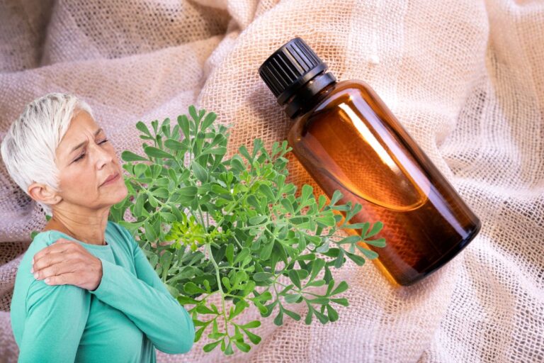 Arruda com álcool: para que serve e como usar? Confira 3 Arruda com álcool para que serve.