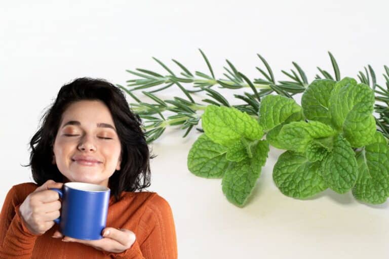 Chá de hortelã com alecrim: Conheça os benefícios dessa combinação 1 chá de hortelã com alecrim.