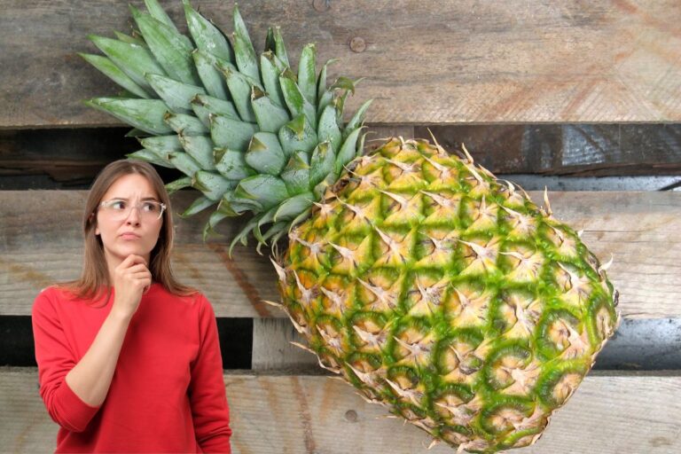 Como saber se o abacaxi está bom? Dicas e truques poderosos 3 Como saber se o abacaxi está bom.