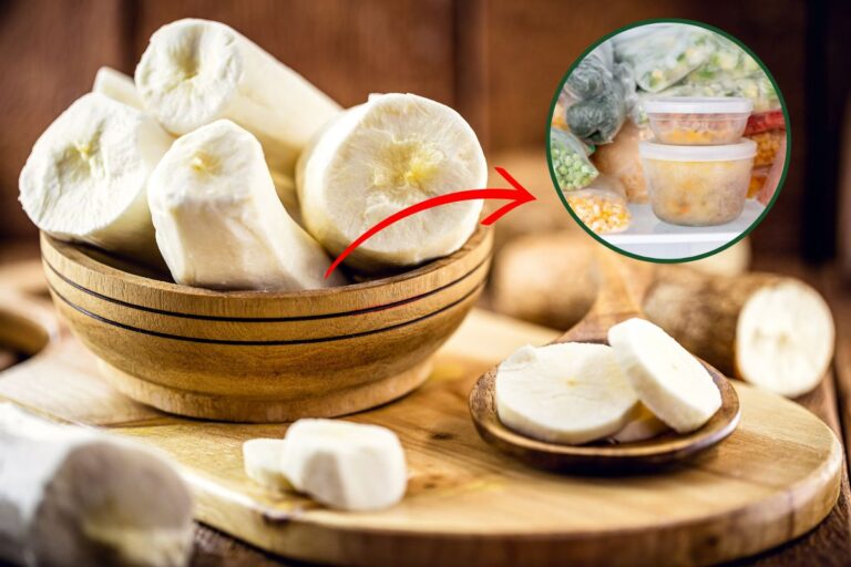 Como congelar mandioca? Veja um passo a passo completo 3 como congelar mandioca.