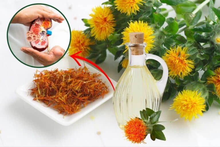 Óleo de cártamo faz mal para os rins mesmo? Descubra a verdade 4 óleo de cártamo faz mal para os rins.