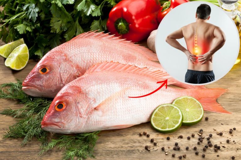 Peixe pargo é remoso? Será que ele piora a inflamação? Descubra agora! 1 peixe pargo é remoso.