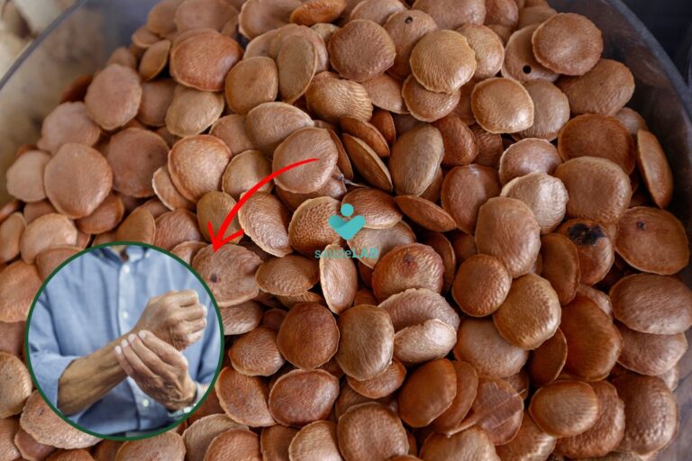 Quanto tempo leva para sucupira fazer efeito? Saiba agora mesmo 8 Quanto tempo leva para sucupira fazer efeito.