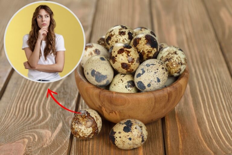 Quantos ovos de codorna posso comer por dia? Conheça os limites 7 quantos ovos de codorna posso comer por dia.