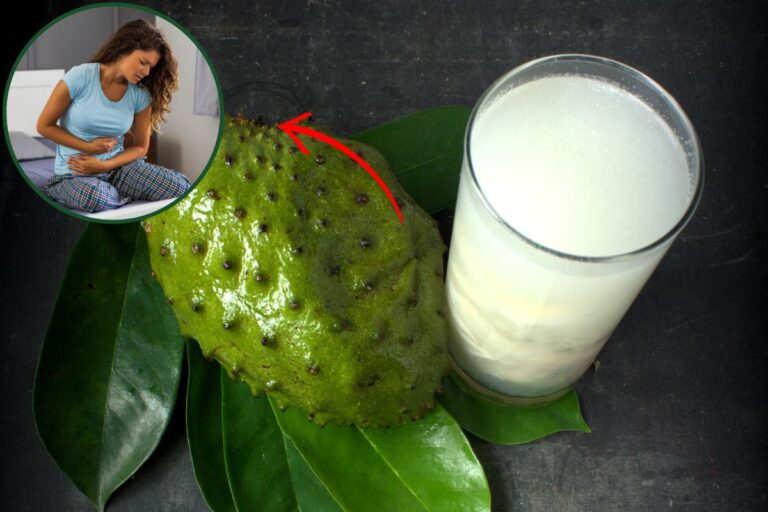 Suco de graviola faz mal para o estômago? Entenda seus verdadeiros efeitos 7 suco de graviola faz mal para o estômago.