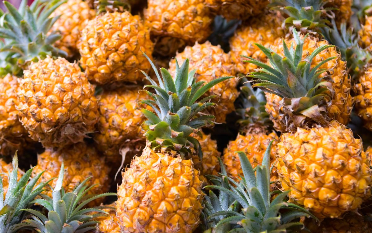 Grávida pode comer abacaxi