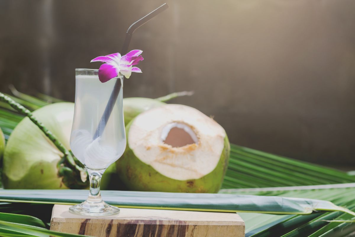 benefícios da água de coco.