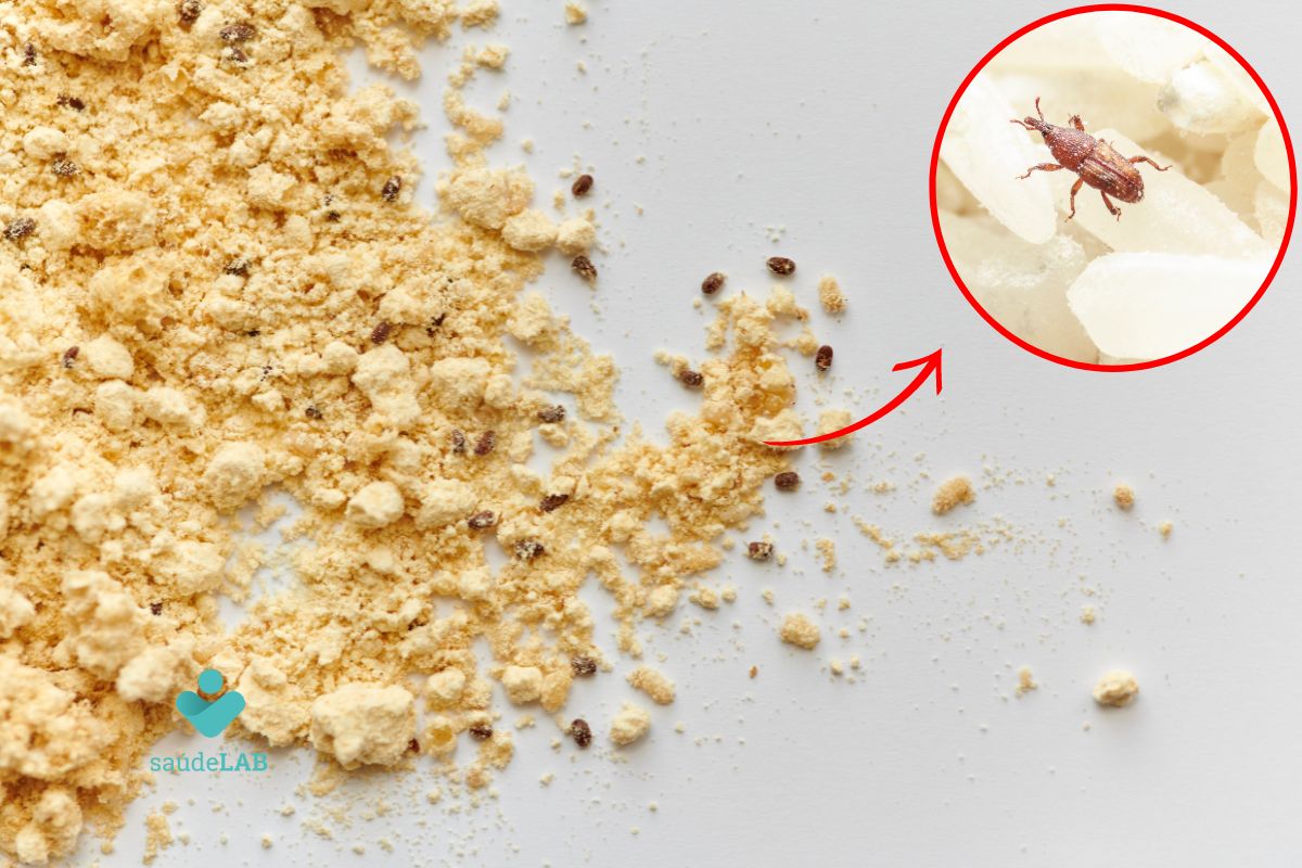 Encontrou um bichinho na farinha de trigo? Descubra o que fazer 1 bichinho na farinha.