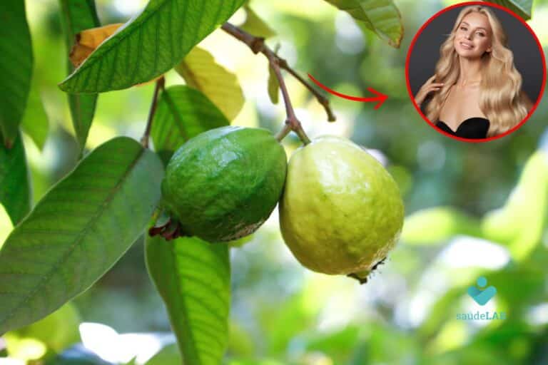 chá de folha de goiaba para cabelo.