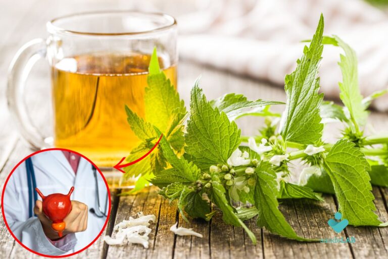 Chá de urtiga é bom para próstata? Descubra agora seus efeitos 4 chá de urtiga é bom para próstata.