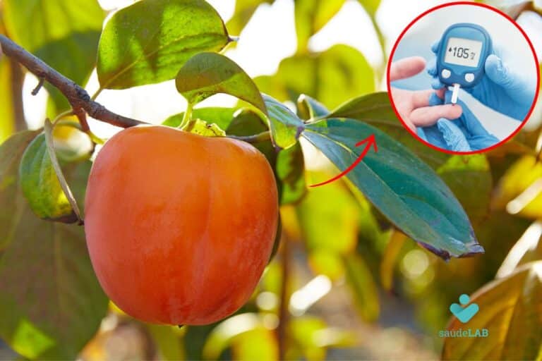 Diabético pode comer caqui? Descubra a verdade 7 diabético pode comer caqui.