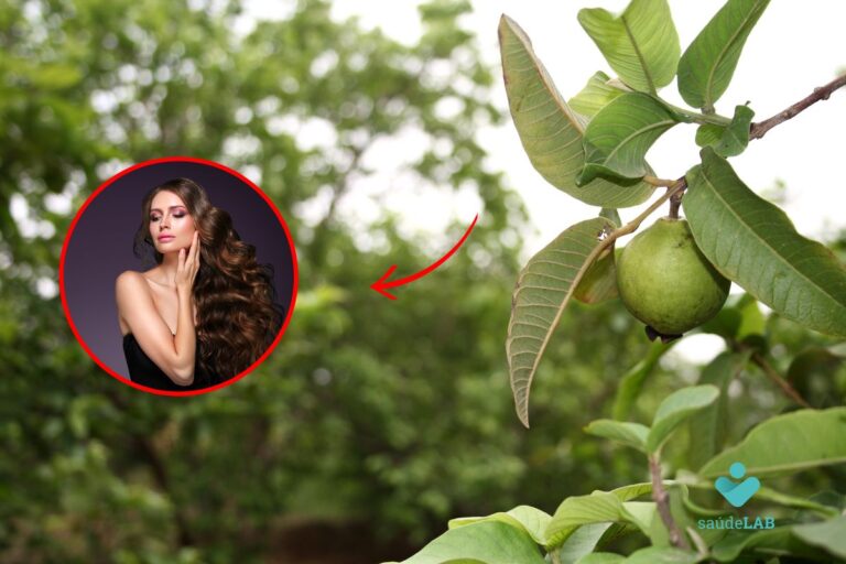 folha de goiaba batido no liquidificador.