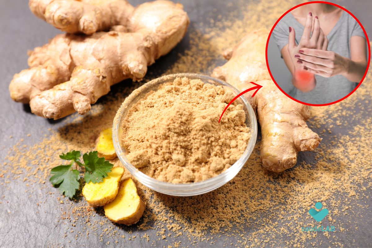 Is Ginger Anti Inflammatory Understand Its Effects On The Body Saúdelab