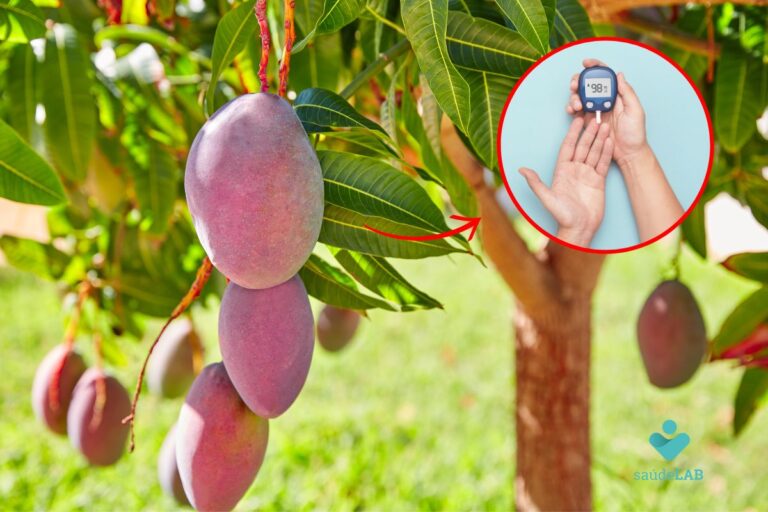 o chá da folha de manga serve para diabetes.