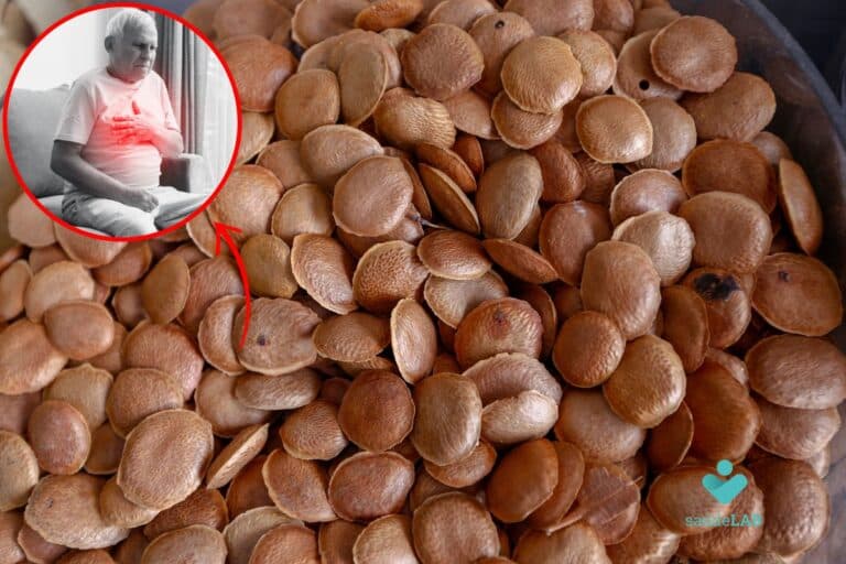 Sucupira faz mal para o coração? Saiba agora 6 sucupira faz mal para o coração.