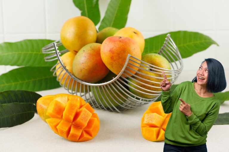 12 benefícios da manga: saiba tudo que ela te oferece 5 benefícios da manga.