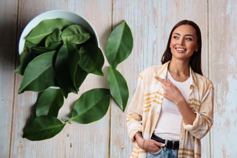 10 benefícios da ora-pro-nóbis que você não sabia 7 benefícios-da-ora-pro-nobis.