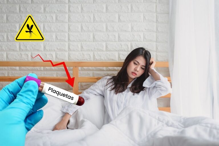 Como subir plaquetas rapidamente? Veja o que fazer em casos de dengue 1 como subir plaquetas rapidamente.