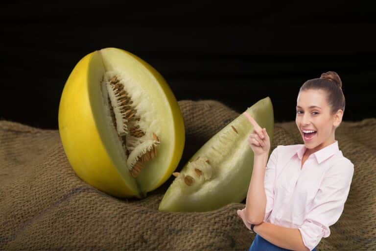 13 benefícios do melão: para cuidar do coração e melhorar a digestão 6 benefícios do melão.