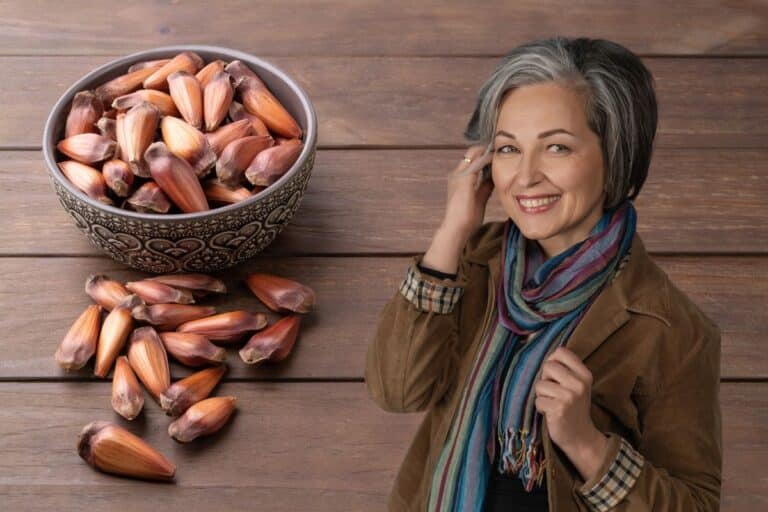 10 benefícios do pinhão para a saúde: do coração ao cérebro 7 benefícios do pinhão.
