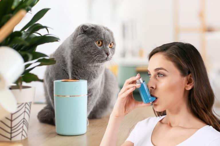 Limpeza do umidificador de ar: um cuidado simples, mas indispensável 6 limpeza do umidificador.