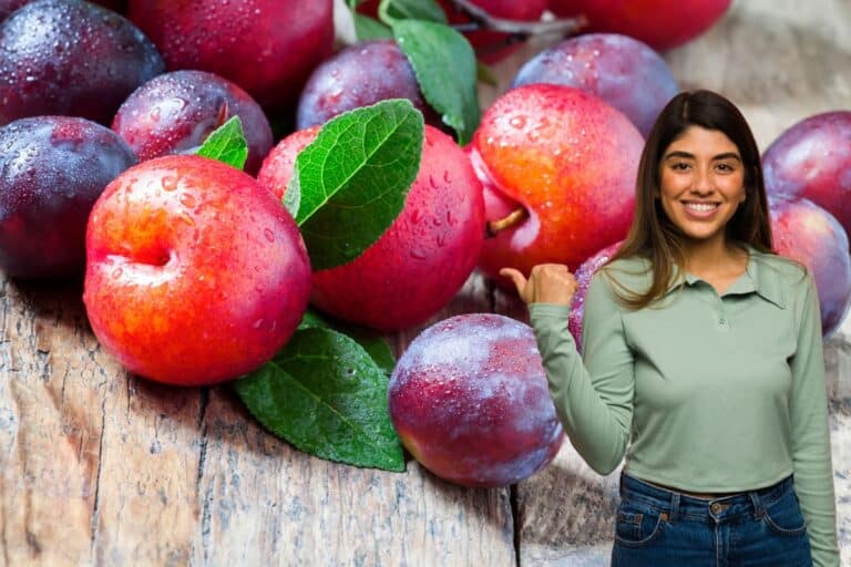 Ameixa: conheça seus benefícios, nutrientes e como consumir 4 ameixa.