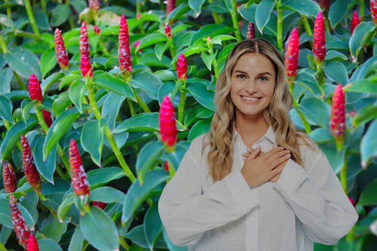 Cana-do-brejo: benefícios, como usar e contraindicações 3 cana-do-brejo.