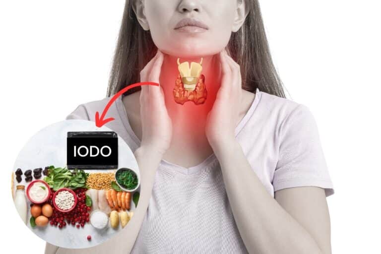 Tireoide: tudo sobre suas funções, problemas e cuidados essenciais 1 Tireoide.