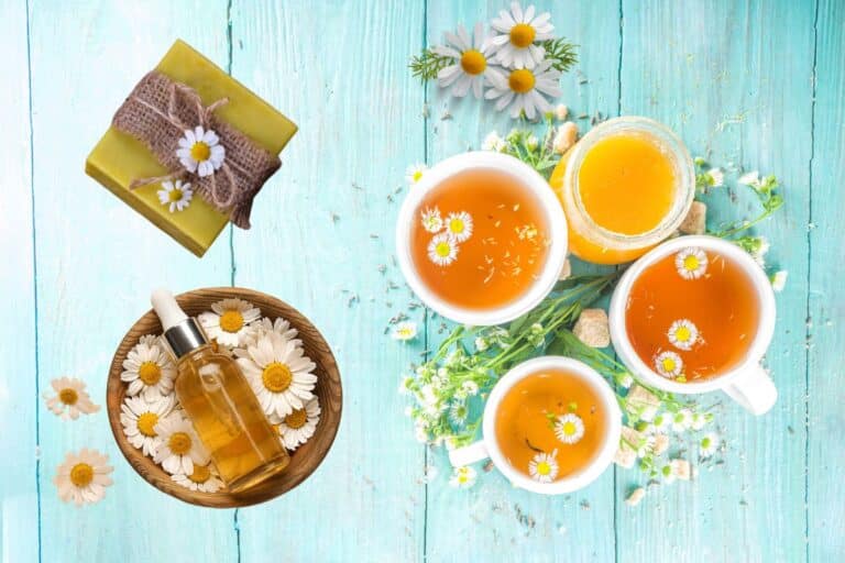 Camomila: conheças seus benefícios, cuidados e como usar 9 camomila.