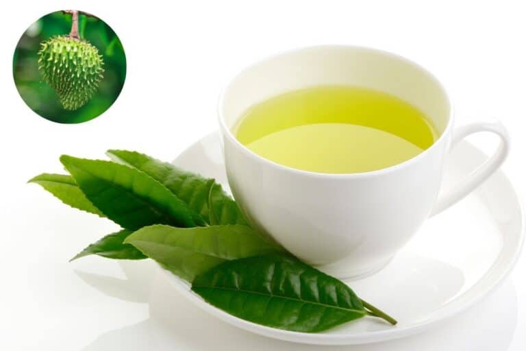 Chá da folha de graviola: benefícios, preparação e precauções 6 Chá da folha de graviola.