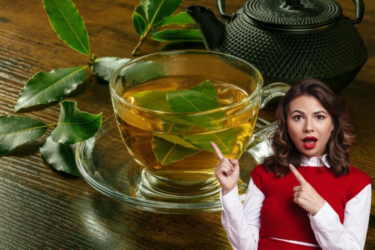 Chá de louro: conheça seus benefícios e cuidados necessários 2 Chá de louro.