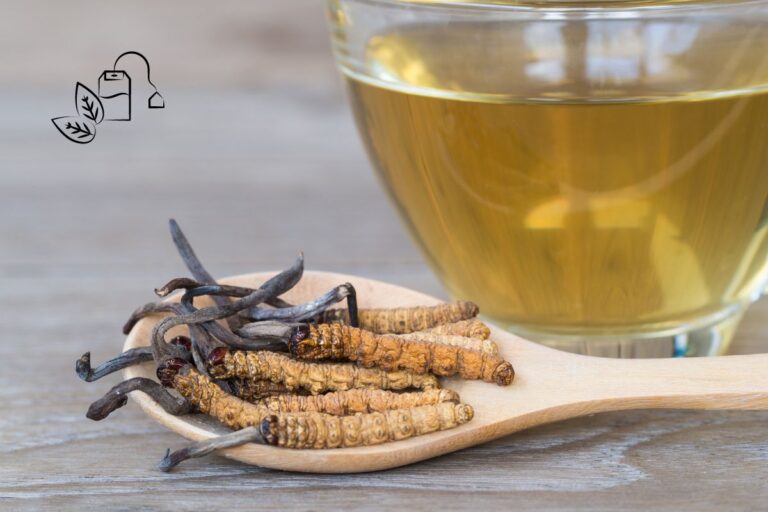 Cogumelos Cordyceps: para que serve? Saiba tudo aqui 4 cogumelos Cordyceps.