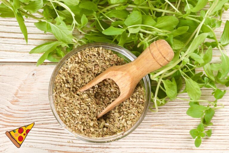 Orégano: descubra seus benefícios para a saúde e como utilizá-lo no dia a dia 7 orégano.