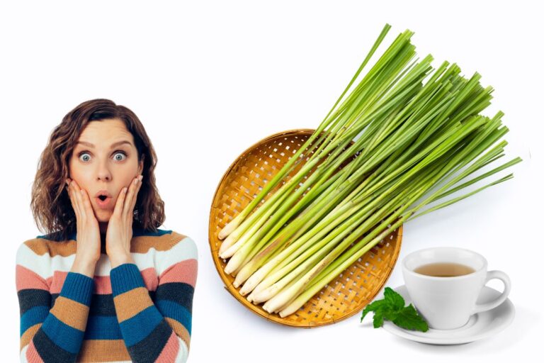 Capim-Santo (Capim-Limão): conheça seus benefícios, como usar e efeitos colaterais 8 capim-santo