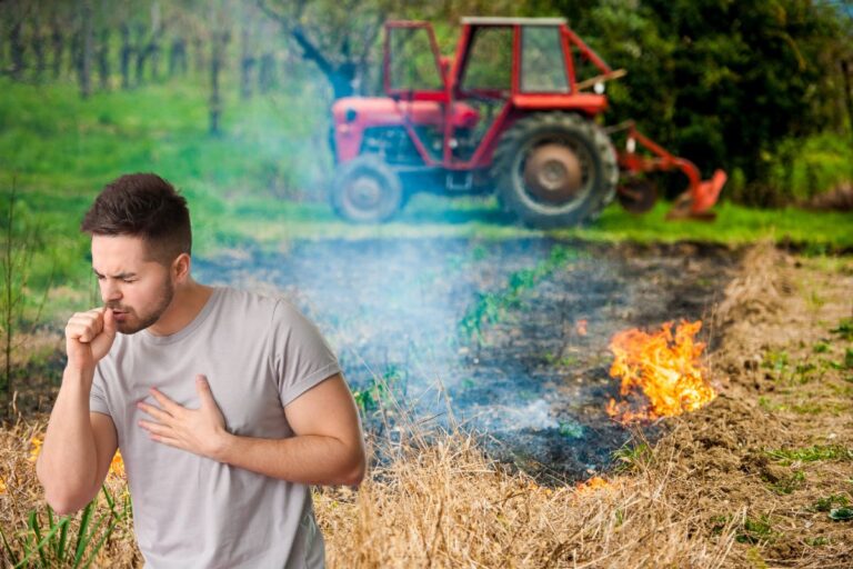 Cheiro de fumaça faz mal: Entenda os riscos à saúde durante as queimadas 1 Cheiro de fumaça faz mal.